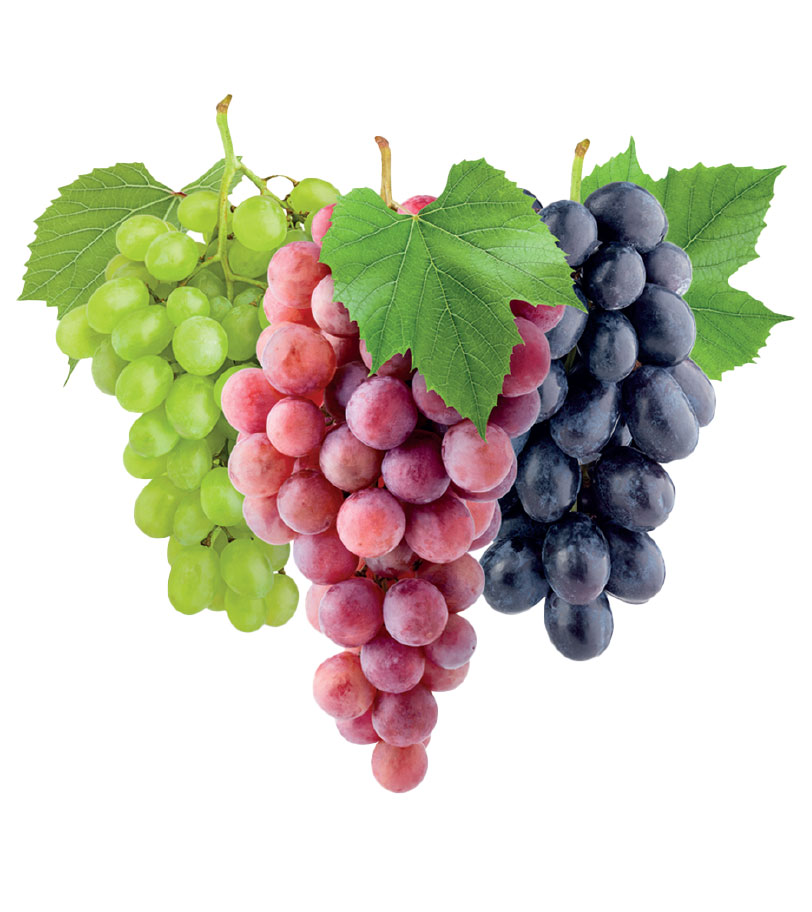 Grapes
