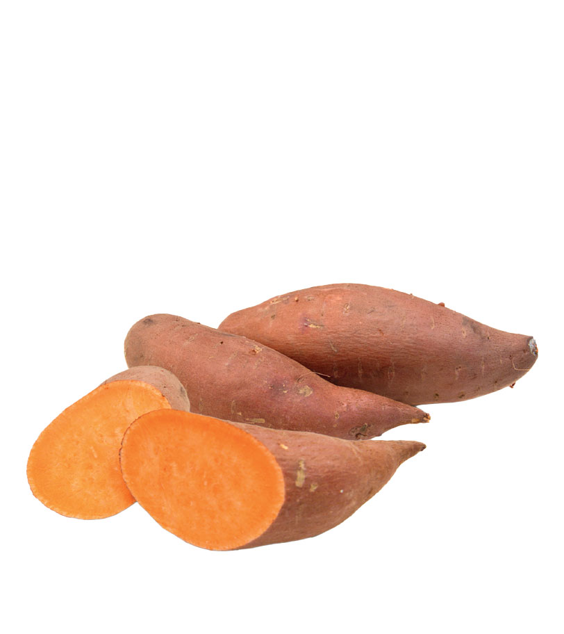 البطاطا الحلوة